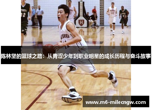 陈林坚的篮球之路：从青涩少年到职业明星的成长历程与奋斗故事